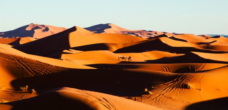 Private Tour from Marrakech to Mhamid