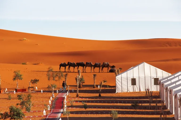luxury private tours morocco