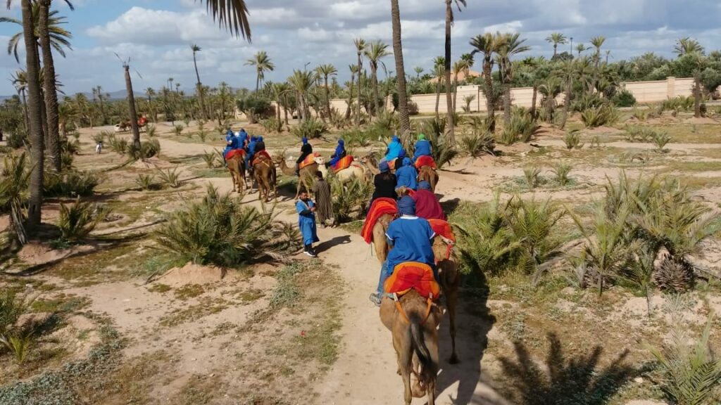 Camel-Ride-in-the-palm-grove-of-Marrakech