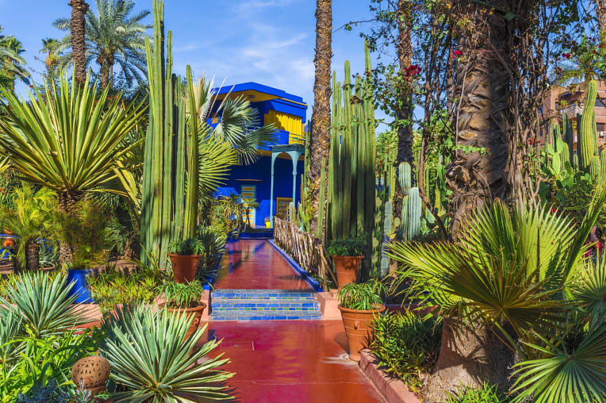 Majorelle Garden,Marrakech