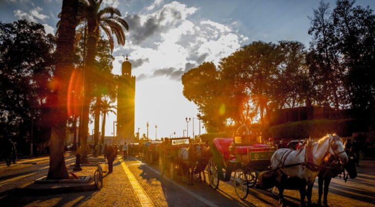 Private Luxury Tours Marrakech: Explore, Relax, and Indulge