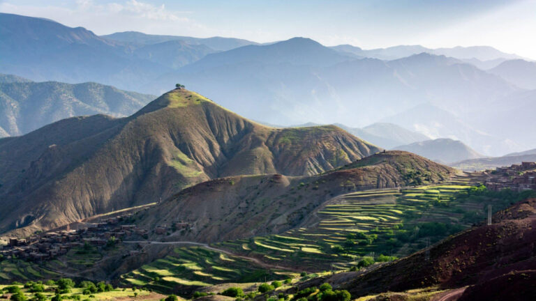 Two single trees on top of a mountain overlook a village and terraced cultivated fields