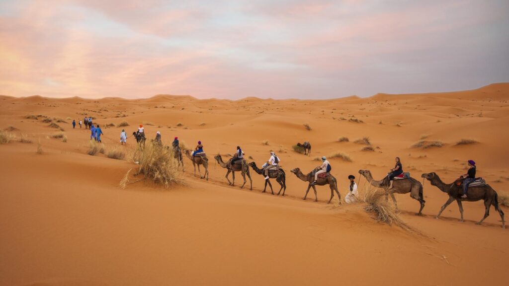 camel trekking desert morocco