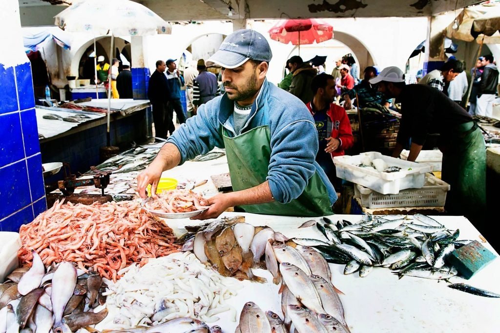 Authentic Moroccan seafood tasting on a Luxury Essaouira Tour