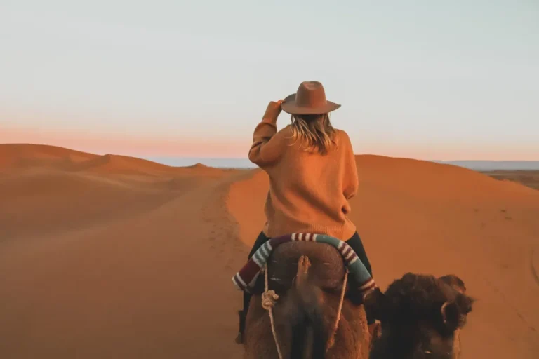 Best Private Tours from Marrakech - panoramic view of Marrakech and Atlas Mountains