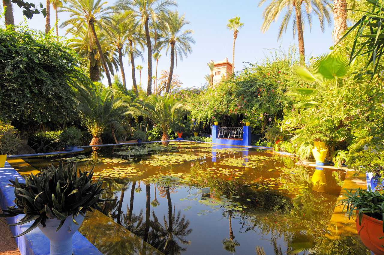 Majorelle Garden botanical beauty – Featured on a luxury Marrakech private tour