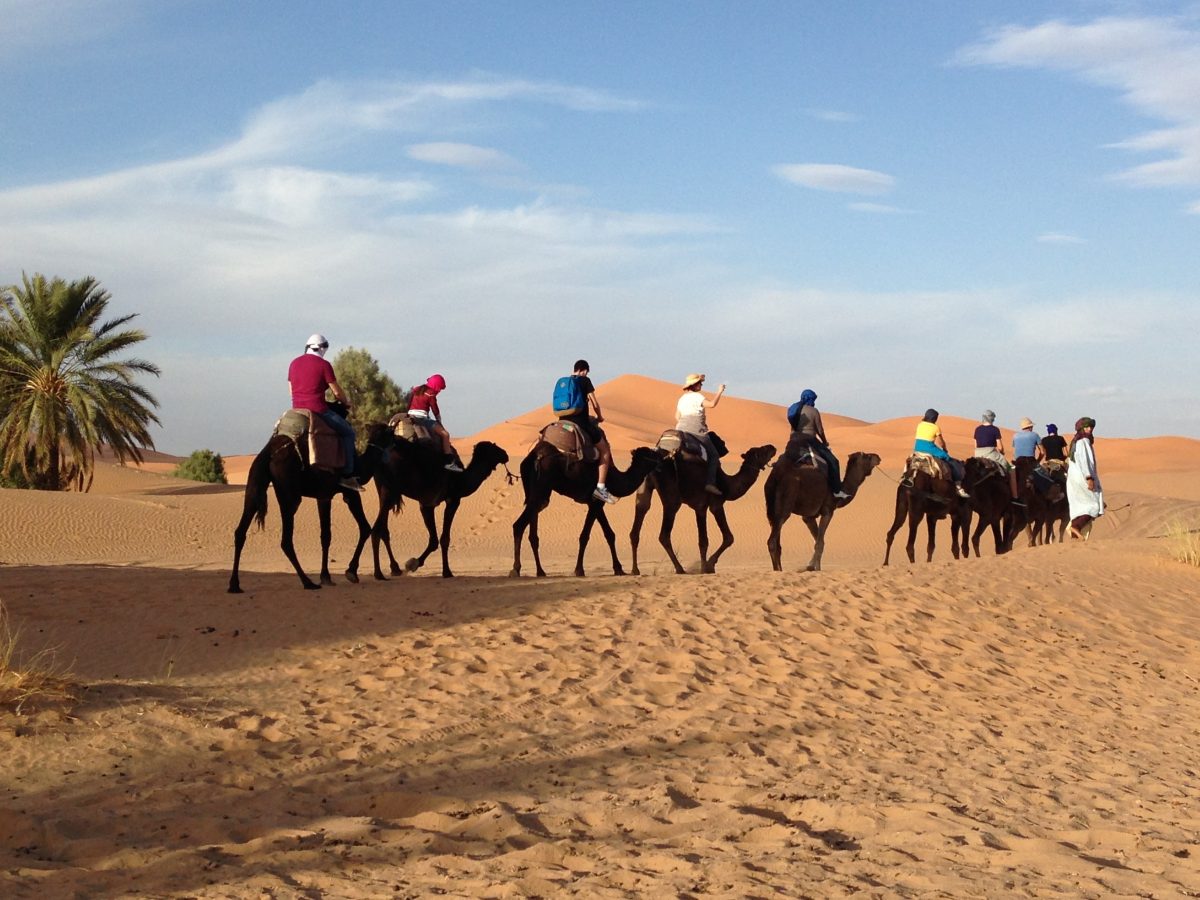 Customize Your Private Luxury Marrakech Tour – Tailored Marrakech Excursions