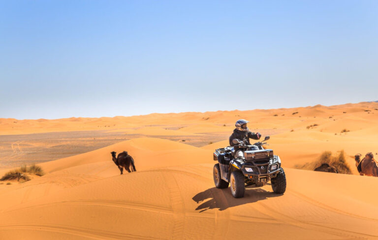 A rider on a quad ATV in the Sahara Desert. stock photo