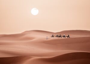 "Discover Morocco’s rich heritage with Cultural Morocco Tours. Explore historic cities, vibrant markets, and the Sahara for an unforgettable cultural experience."