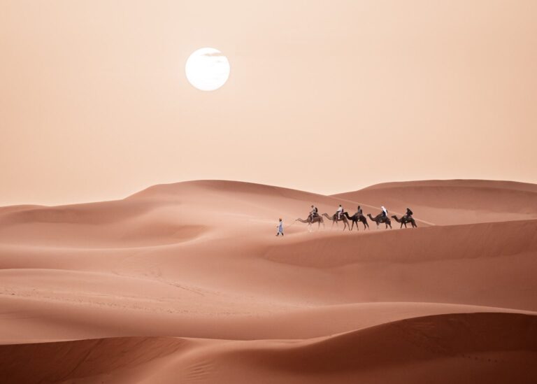 "Discover Morocco’s rich heritage with Cultural Morocco Tours. Explore historic cities, vibrant markets, and the Sahara for an unforgettable cultural experience."