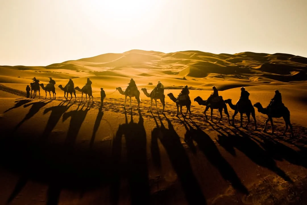 the sahara desert