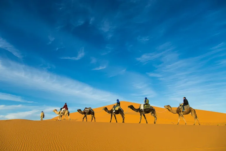 Luxury Private Tours Marrakech: Explore Morocco in Style and Comfort | Private Tours & Desert Adventures