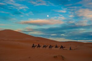 Marrakech Camel Ride in the Palmeraie: An Authentic Moroccan Experience