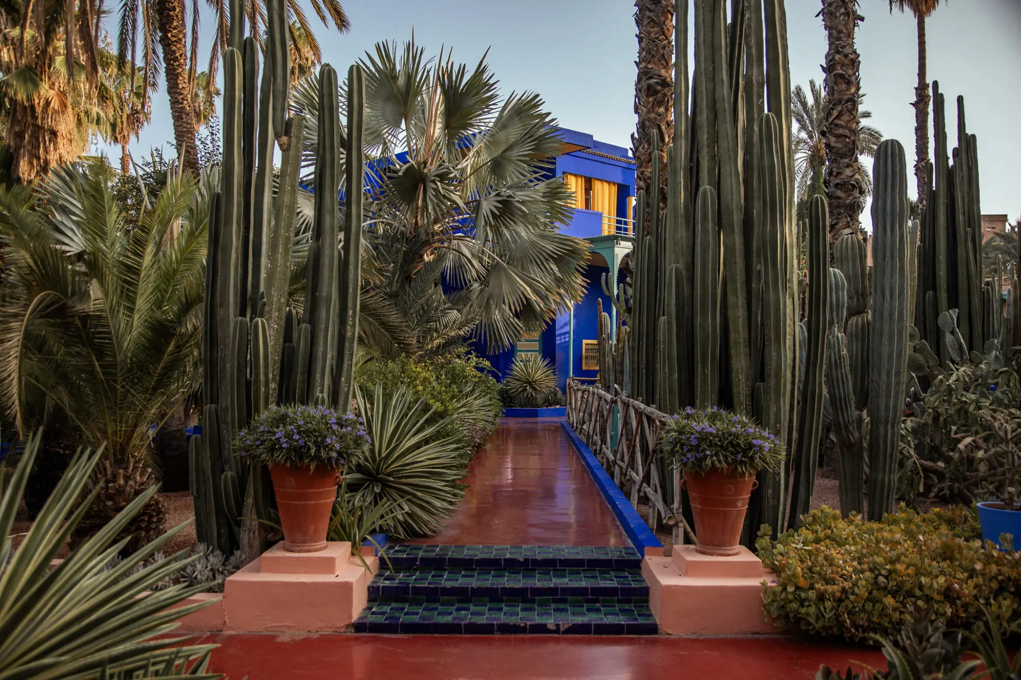 Jardin-Majorelle-Marrakech-Things-to-do-sightseeing-Morocco