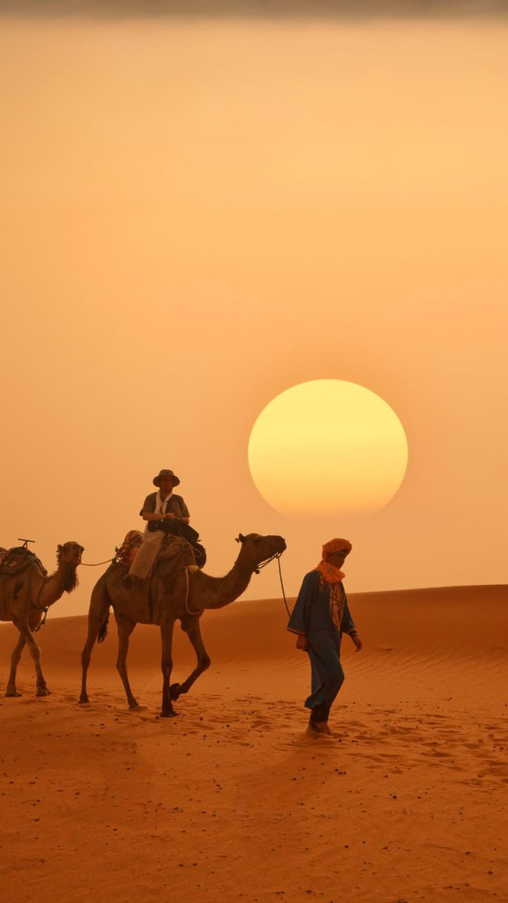 Adventure Activities in Marrakech: From Hot Air Balloon Rides to Quad Biking with Private Tours