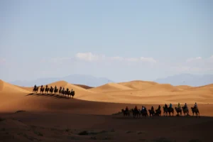 Camel caravan crossing the Sahara during a 10 day tour in Morocco