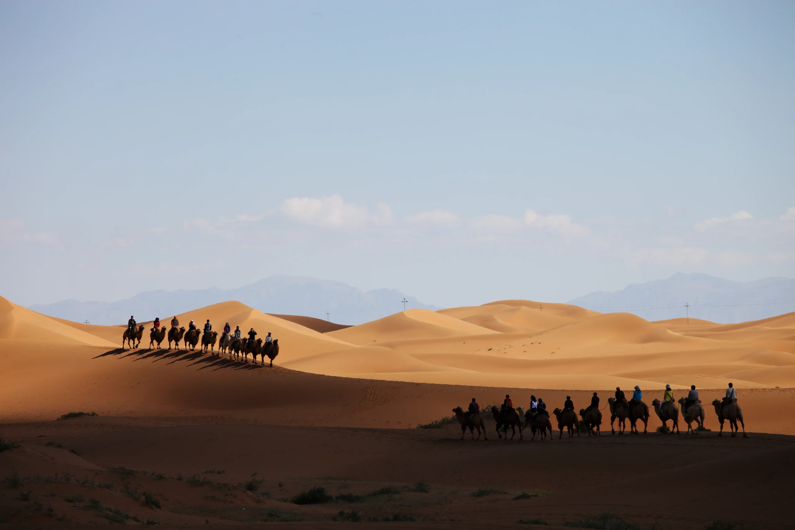 Camel caravan crossing the Sahara during a 10 day tour in Morocco