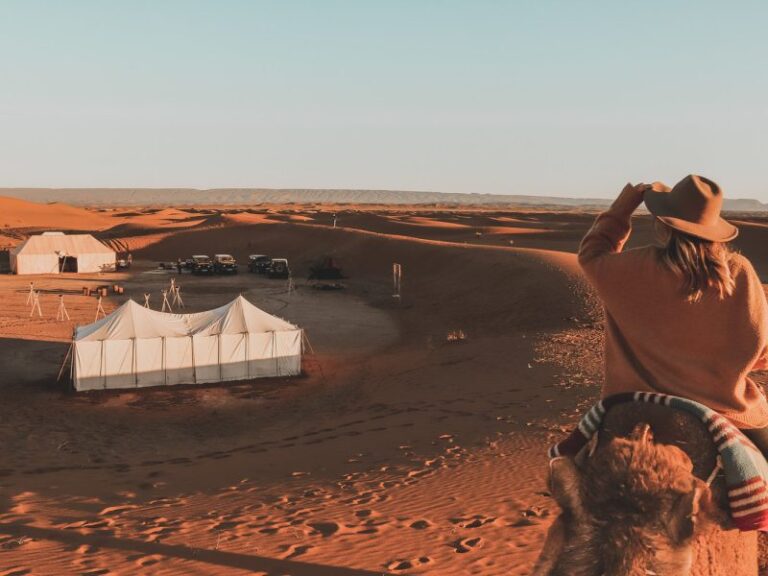 Why Choose Luxury Private Tours Marrakech for Your Next Moroccan Adventure