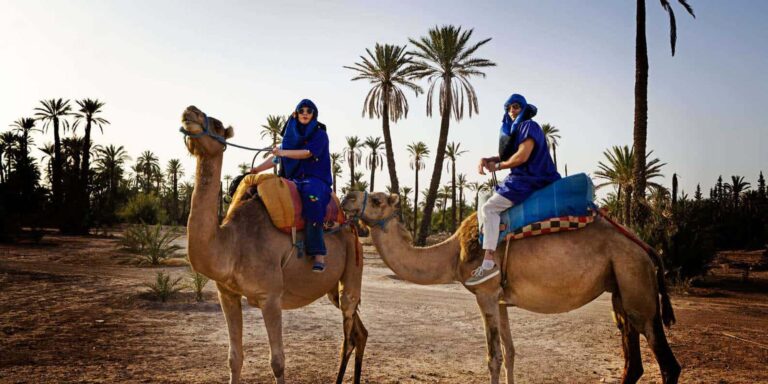 Marrakech Private Guided Tours