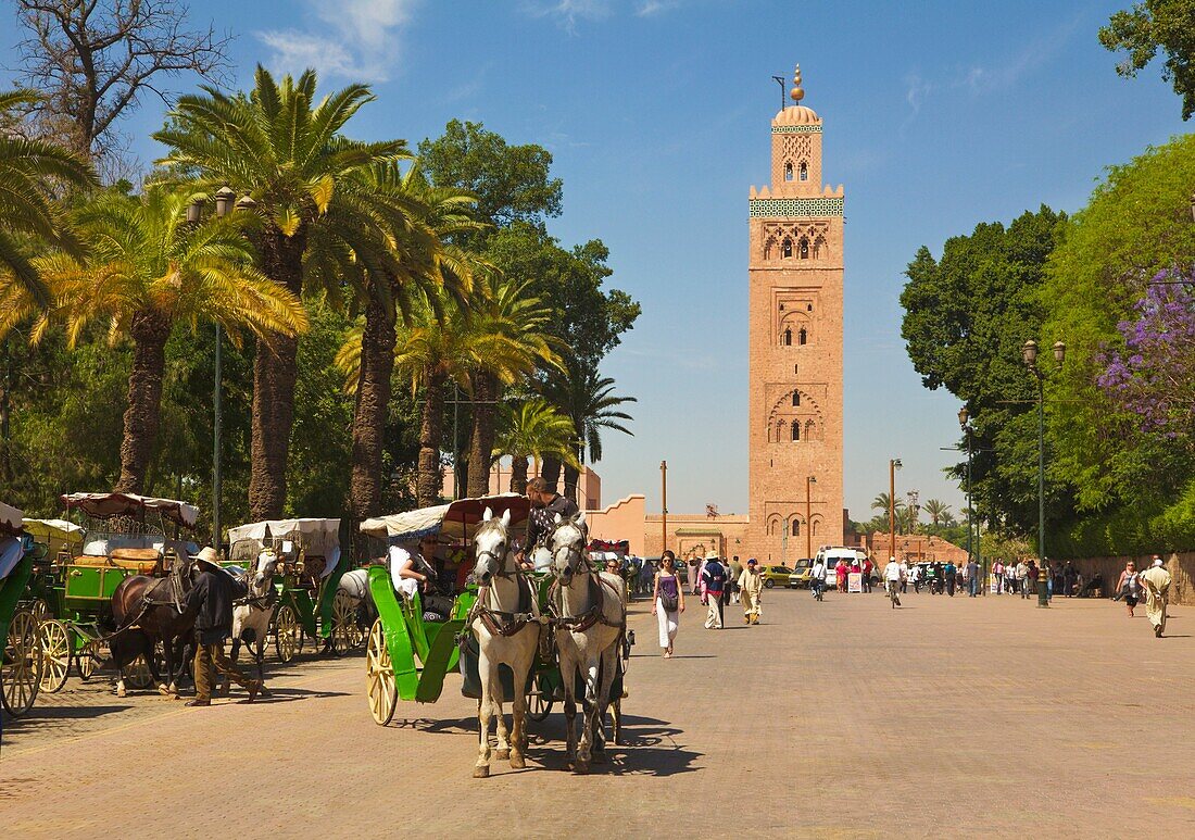 Marrakech Private Day Trips: 9 Best Desert & Scenic Tours