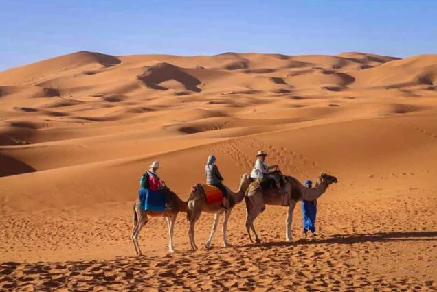 8 Days Morocco Tour from Marrakech to Casablanca