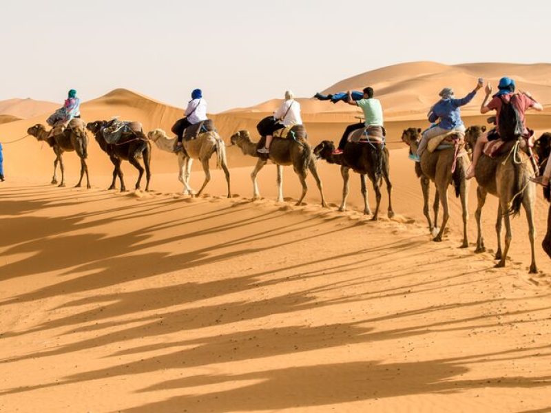 Camel Ride in Marrakech Palmeraie