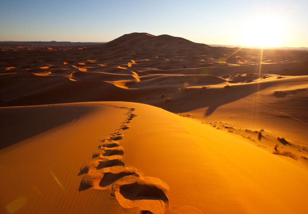 3 Sahara Desert Tours