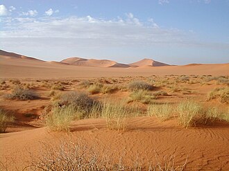 2 Days 1 Night Zagora Desert Private Tour from Marrakech