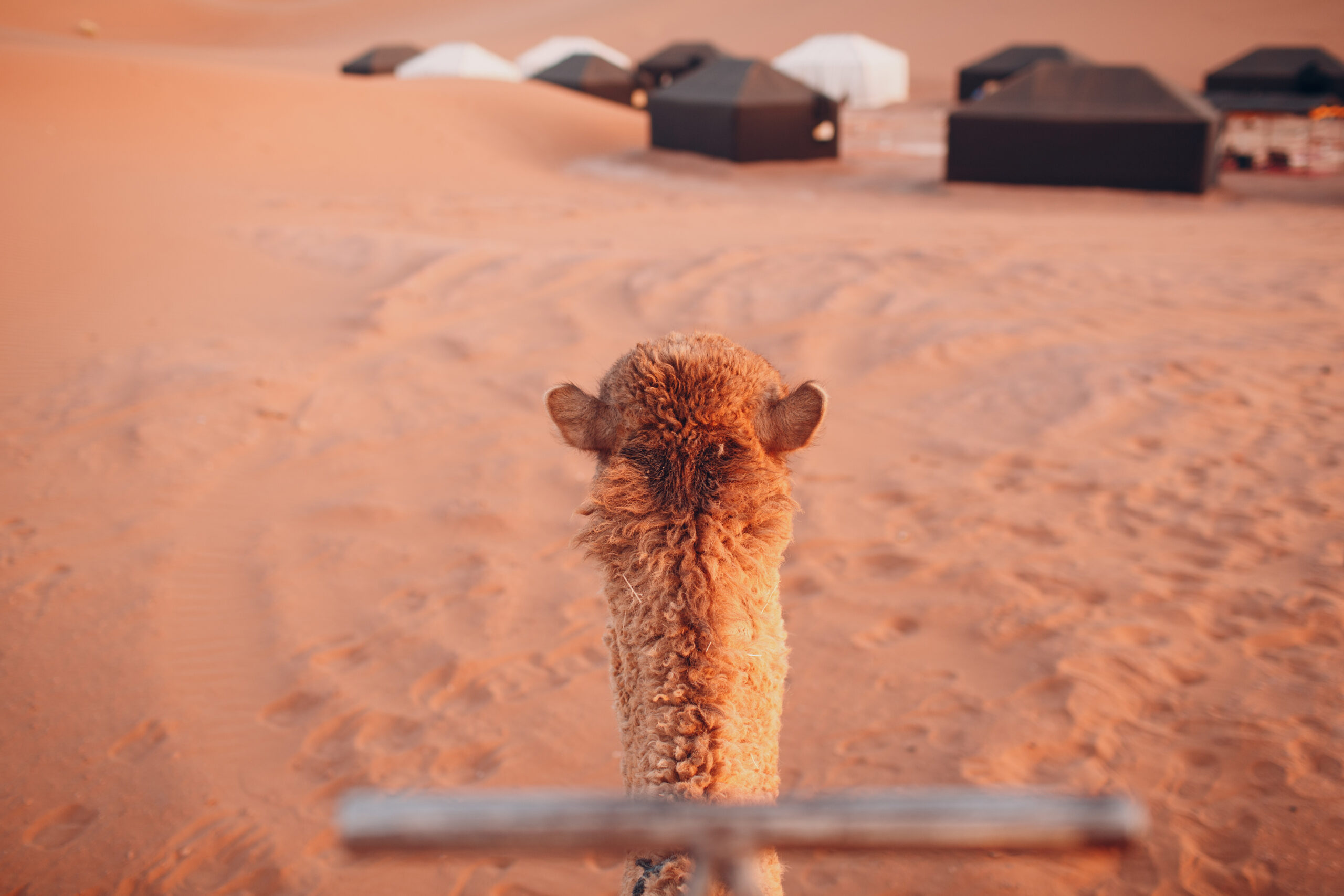 9 Days Morocco Tour from Casablanca to Sahara Desert