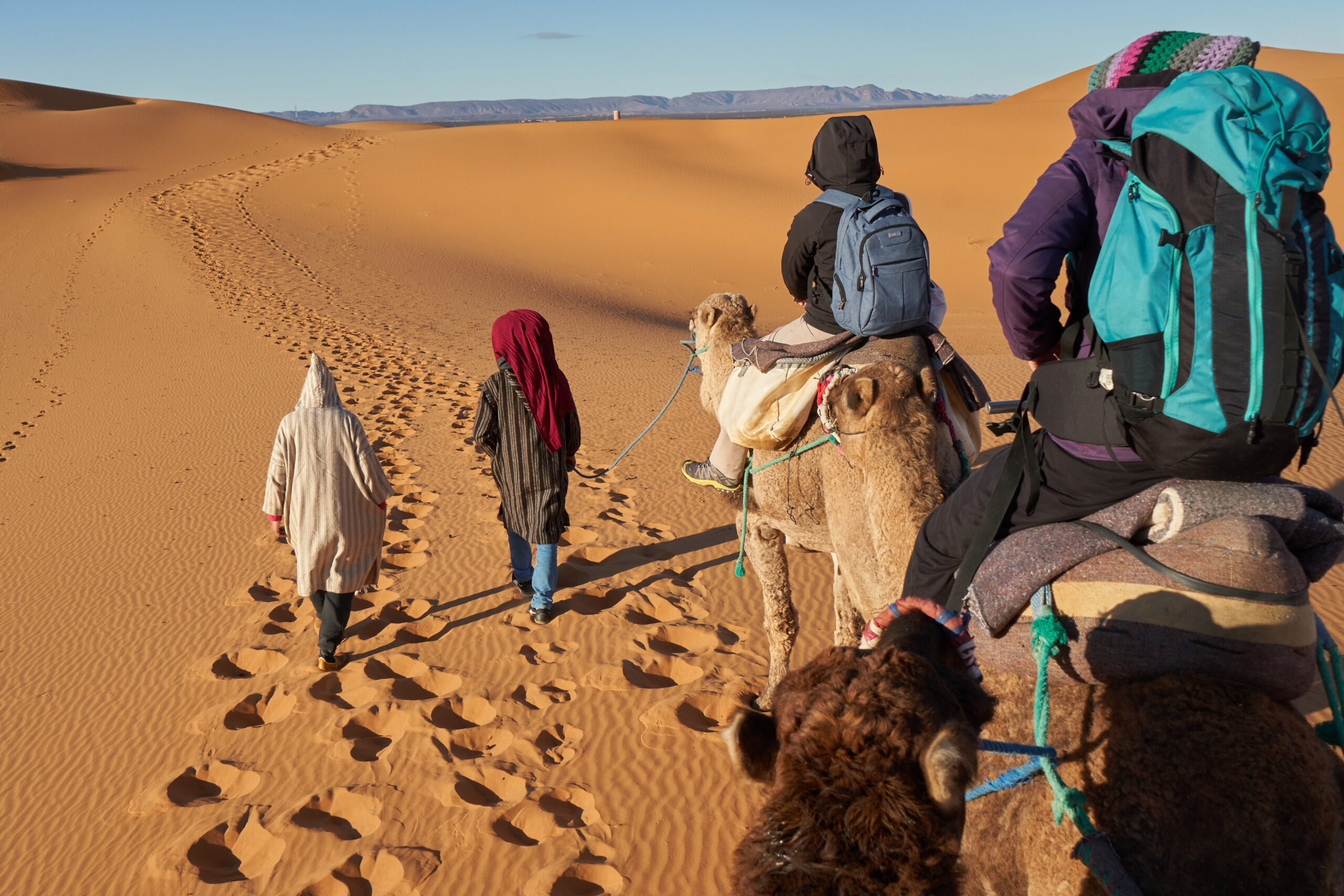 Camel Ride in Marrakech Palmeraie