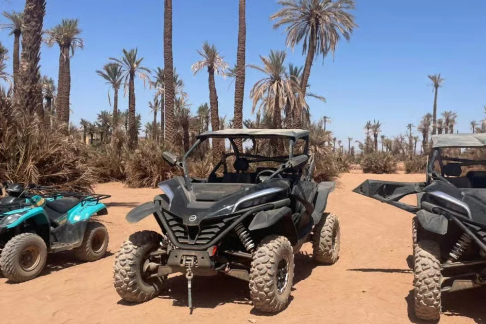 Buggy Adventure in Marrakech Palmeraie