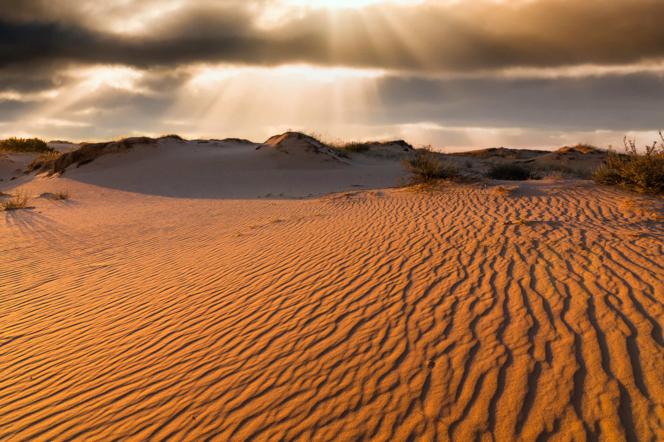 9 Days Morocco Tour from Casablanca to Sahara Desert